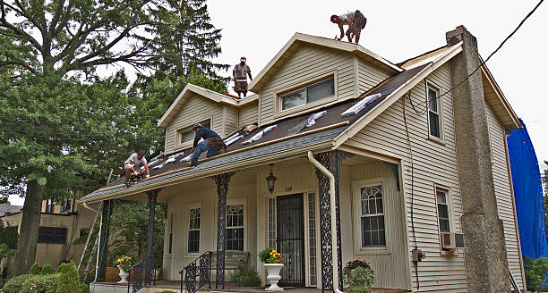 roof repair and maintenance