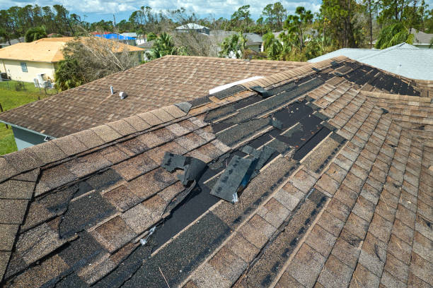The Hidden Threats of Storm Damage—How Restoration Professionals Prevent Long-Term Loss