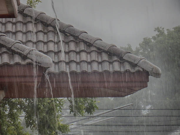What Is the Best Roofing Material for Homes in Rainy and Windy Climates?