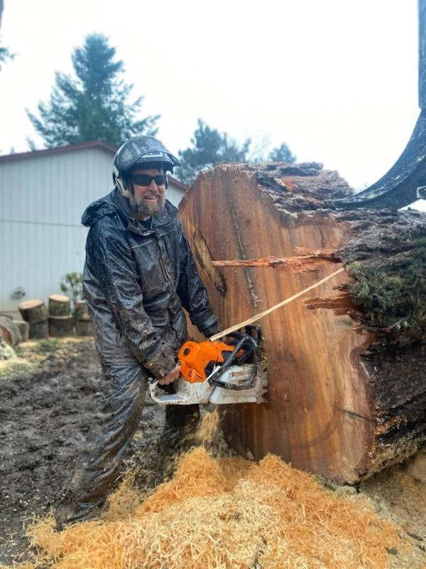 Is It Legal to Cut Down a Tree on Your Own Property in Portland?