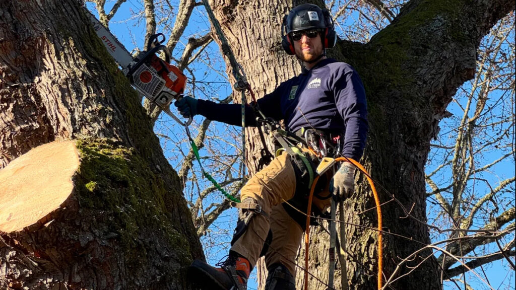 Storm Season Prep for Portland Homeowners: 7 Steps to Protect Your Trees Before Fall