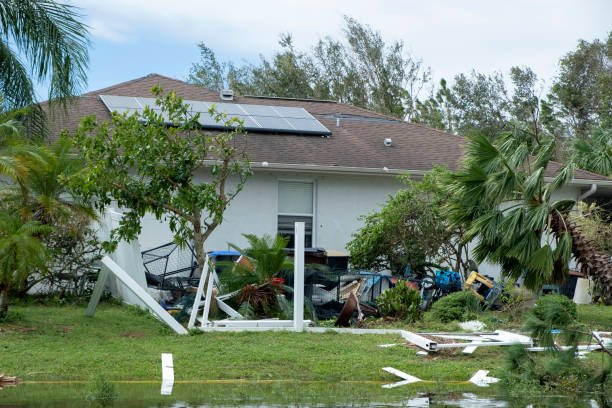 What Should You Do Immediately After Storm Damage?